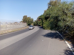 Catania: strada pericolosa a causa della vegetazione incombente