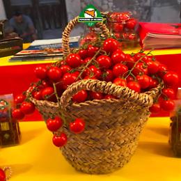 Festa del pomodoro di Pachino in versione digitale