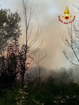 Rischio incendi e ondate di calore: scatta "preallerta" nel Palermitano