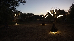 Noto, "L’Orto degli ulivi" di Domenico Pellegrino accende il Parco dell'anima