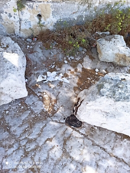 Siracusa: spiaggia "sporcata" dai soliti incivili
