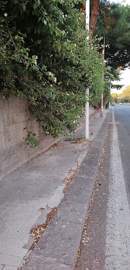 Catania: "Una citt&agrave; a misura d'uomo?"