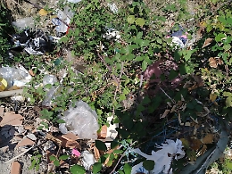 Giardini Naxos: "La bellezza d'una passeggiata al Palanaxos"