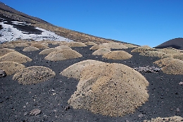 L'incredibile patrimonio floristico dell'Etna: censite oltre 1.000 specie sulle pendici del vulcano