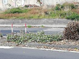 Catania: la città che vedi...