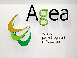 Truffa fondi Ue sui Nebrodi, il paradosso dell'Agea: non è parte civile