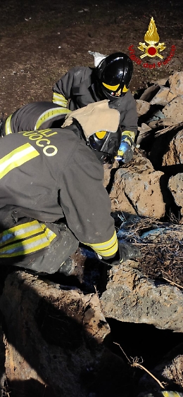 Valverde, gattino intrappolato tra grosse pietre: salvato dai vigili del fuoco