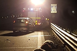 Due auto contro un gregge sulla SS 113, morte 30 pecore a Partinico
