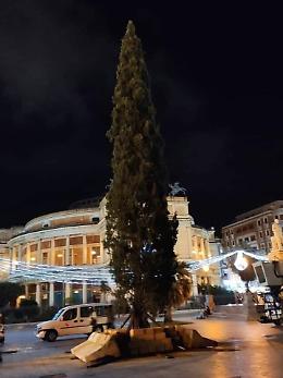 Palermo, l'abete di Piazza Politeama si danneggia e gli operai (a insaputa del Comune) mettono un cipresso