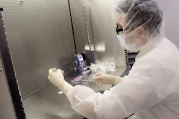 Covid, bollettino del 12 dicembre: in Sicilia 1.016 nuovi casi e 23 morti