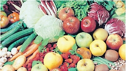 Sicilia star della "biodinamica" conquista pure il Nord Europa