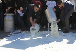 Crisi del latte, il M5s al ministro: «Destinare tutte risorse a Sardegna e Sicilia»