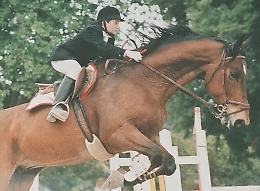 Quei 31 bambini uccisi dalla mafia in Sicilia