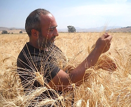 Salvatore Scuderi: &laquo;Il futuro della Sicilia &egrave; nei suoi campi&raquo;
