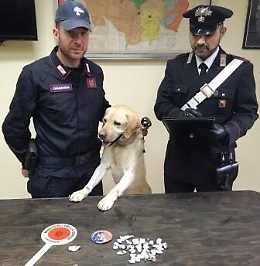 Giarre, con la droga in classe, arrestato sedicenne