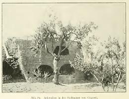 La mappa dei cimiteri paleocristiani in Sicilia tradotta dal tedesco dopo 110 anni