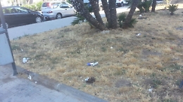 Ma perché a Catania non si fanno le multe a chi sporca?