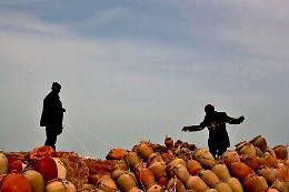 Il progetto siciliano candidato al Premio Pulitzer