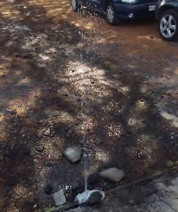 L'Acoset perde acqua: segnalo lo zampillo da un mese, ma senza risposte