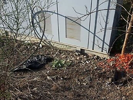 Caduta cavo alta tensione e incendio alla Zona Industriale: manca manutenzione