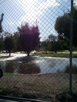 Acqua putrida alla Plaia di Catania: il Comune ne è a conoscenza?