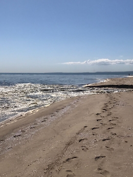 Mare inquinato alla Plaia di Catania, il video di un lettore