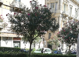 Catania, via di San Giuliano ostaggio di parcheggiatori abusivi e scooter parcheggiati ovunque