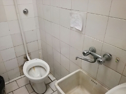 Catania, Dermatologia ospedale Vittorio Emanuele: formiche nei bagni?