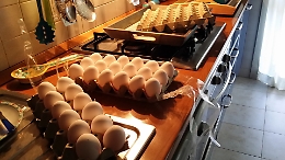 Uova, fra scandalo Fipronil e nuovi focolai di influenza aviaria prezzi lievitati del 100%