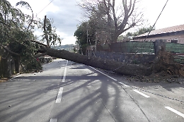 Danni per vento a Santa Venerina:  chiesto stato di calamità