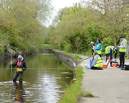 Un siciliano a Dublino sulla rotta di acque più limpide e chiare