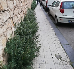 Caltanissetta, erba alta in via Crispi: si vede che qui non è passato il Giro d'Italia
