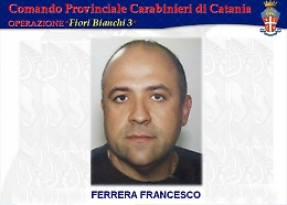 Ville con piscina, frantoi, garage: a Catania sigilli al patrimonio del nipote del boss