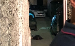 Pregiudicato ucciso a Palermo, fermato lo zio della vittima