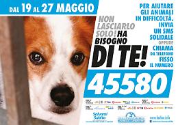 RANDAGISMO: CONTRO L’EMERGENZA, GLI SMS SOLIDALI ALLA LEGA ITALIANA PER LA DIFESA DEGLI ANIMALI E DELL’AMBIENTE