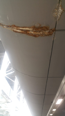 Muffa  e mura  ammalorate nell'aeroporto di Catania: questa non &egrave; accoglienza