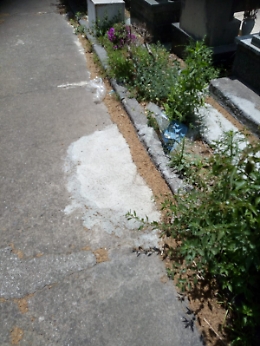 Degrado al cimitero monumentale di Catania