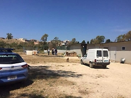 Vittoria, ignoti aprono gabbie del canile. Morti alcuni cani