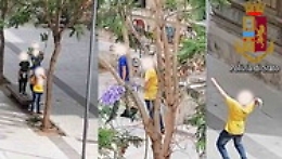 Vittoria, balordi vandalizzano l'isola pedonale: arriva la Polizia e ne denuncia due