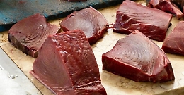 Palermo, tredicenne intossicata da tonno rosso comprato in una bancarella