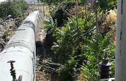 Ramo sui binari, gravi ritardi e disagi sulla linea Sr-Ct-Me