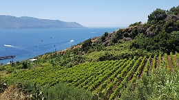 Salina tra le sei isole pilota dell’Unione Europea per la transizione verso l’energia pulita