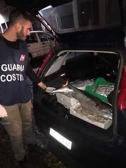 Da dove arriva il pesce del mercato di Aci Trezza? Scattano i controlli