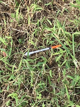 Catania: lungomare liberato, splendida giornata rovinata dal piazzale Cannavò