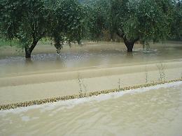Maltempo, la Coldiretti: &laquo;Inutilizzabili 100 mila ettari di terreno&raquo;