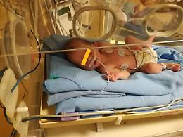 Voleva vendere il gregge per fare operare il figlio, ma le pecore sono state rubate