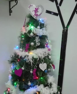 La stella dell'Albero di Natale della Scuola di ballo Fantasy sport si chiama Sofia