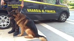Scommesse abusive e droga, 25enne arrestato dalla Guardia di finanza