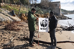 Sciacca, il Wwf ha ripulito la spiaggia di San Giorgio