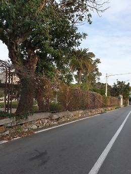 Taormina, Via Luigi Pirandello: cavo Enel pericolante